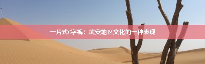 一片式C字裤：武安地区文化的一种表现