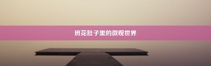 班花肚子里的微观世界