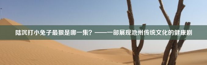 陆沉打小兔子最狠是哪一集？——一部展现池州传统文化的健康剧