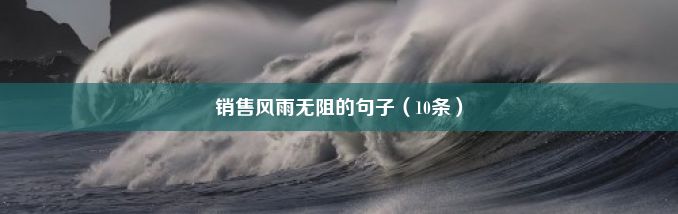 销售风雨无阻的句子（10条）