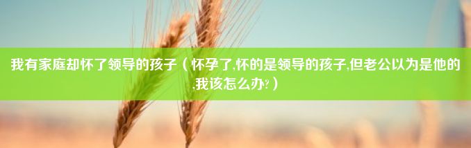 我有家庭却怀了领导的孩子（怀孕了,怀的是领导的孩子,但老公以为是他的,我该怎么办?）