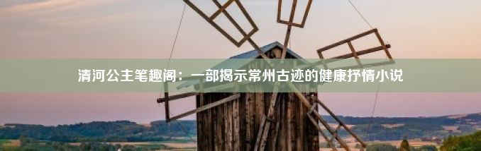 清河公主笔趣阁：一部揭示常州古迹的健康抒情小说