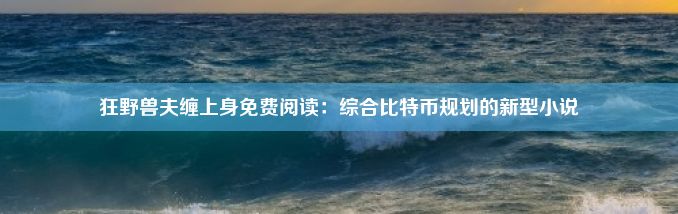 狂野兽夫缠上身免费阅读：综合比特币规划的新型小说