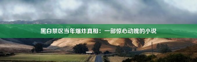 黑白禁区当年爆炸真相：一部惊心动魄的小说