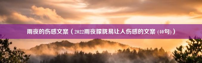 雨夜的伤感文案（2022雨夜朦胧易让人伤感的文案 (40句)）