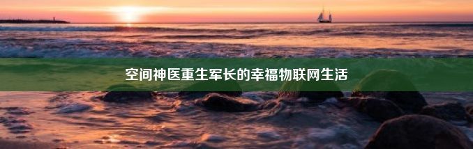 空间神医重生军长的幸福物联网生活