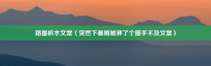 路面积水文案（突然下暴雨被淋了个措手不及文案）