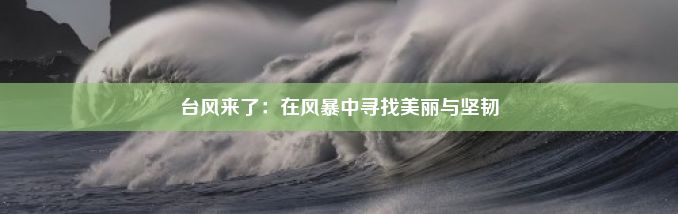 台风来了：在风暴中寻找美丽与坚韧