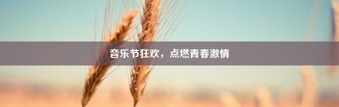 音乐节狂欢，点燃青春激情