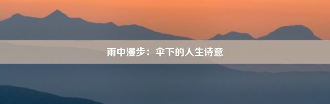 雨中漫步：伞下的人生诗意