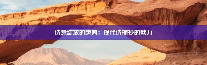 诗意绽放的瞬间：现代诗摘抄的魅力