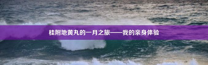 桂附地黄丸的一月之旅——我的亲身体验