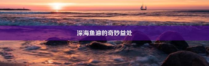 深海鱼油的奇妙益处