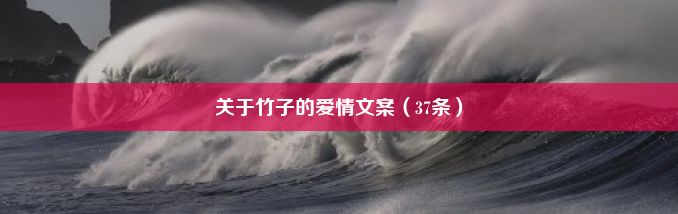 关于竹子的爱情文案（37条）