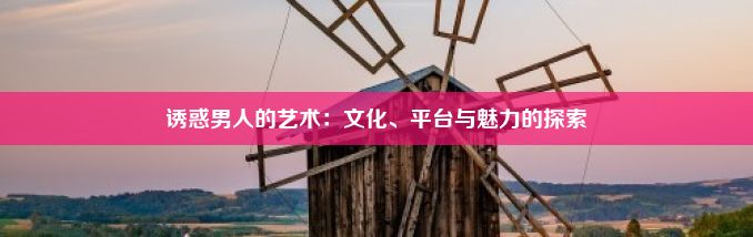 诱惑男人的艺术：文化、平台与魅力的探索