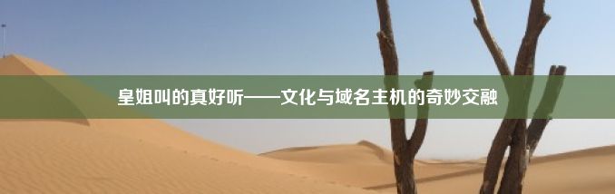 皇姐叫的真好听——文化与域名主机的奇妙交融