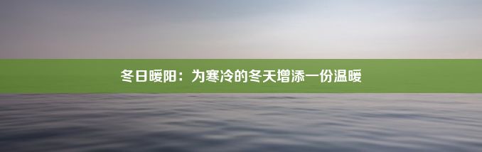 冬日暖阳：为寒冷的冬天增添一份温暖