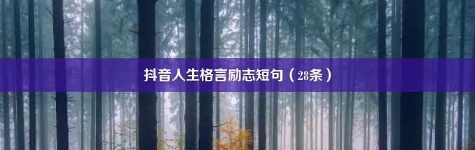 抖音人生格言励志短句（28条）