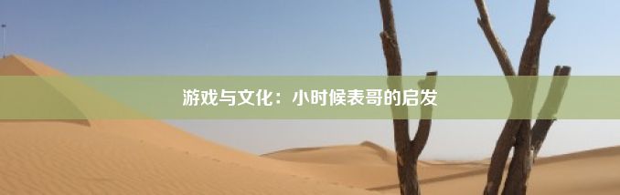 游戏与文化：小时候表哥的启发