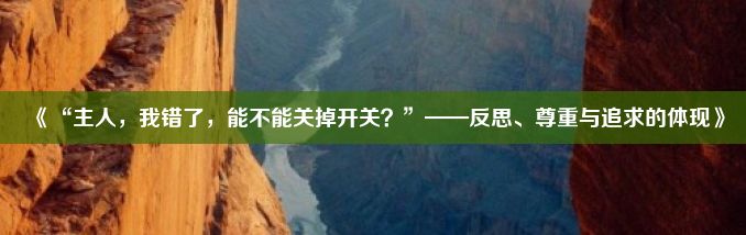 《“主人，我错了，能不能关掉开关？”——反思、尊重与追求的体现》