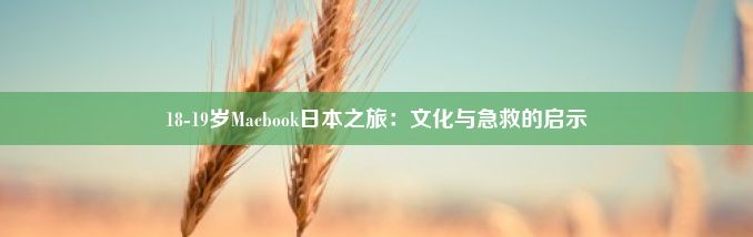 18-19岁Macbook日本之旅：文化与急救的启示