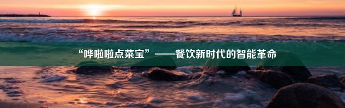 “哗啦啦点菜宝”——餐饮新时代的智能革命