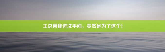 王总带我进洗手间，竟然是为了这个！