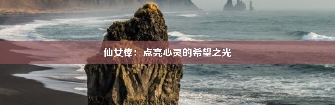 仙女棒：点亮心灵的希望之光