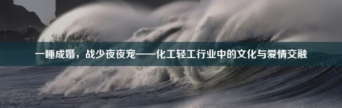 一睡成婚，战少夜夜宠——化工轻工行业中的文化与爱情交融