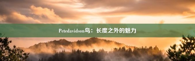 Petedavidson鸟：长度之外的魅力