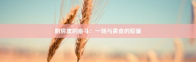 厨房里的奋斗：一场与美食的较量