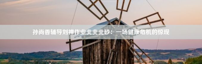 孙尚香辅导刘禅作业北北北砂：一场健康危机的惊现