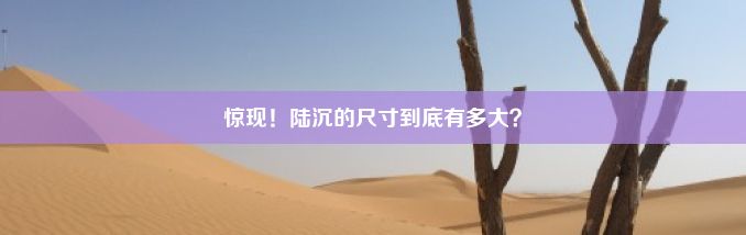 惊现！陆沉的尺寸到底有多大？