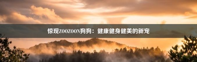 惊现ZOOZOON狗狗：健康健身健美的新宠