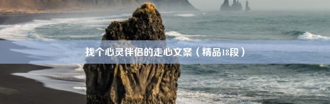 找个心灵伴侣的走心文案（精品18段）