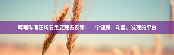 哔哩哔哩在线看免费观看视频：一个健康、动漫、发现的平台