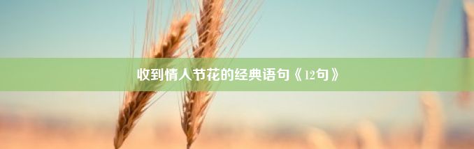 收到情人节花的经典语句《12句》