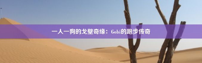 一人一狗的戈壁奇缘：Gobi的跑步传奇