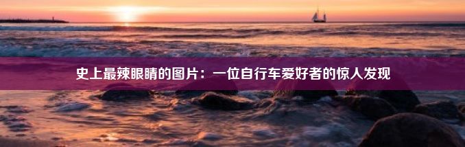 史上最辣眼睛的图片：一位自行车爱好者的惊人发现