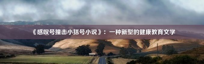 《感叹号撞击小括号小说》：一种新型的健康教育文学