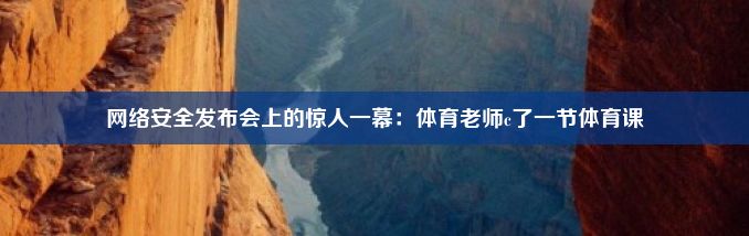 网络安全发布会上的惊人一幕：体育老师c了一节体育课