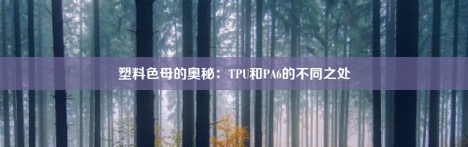 塑料色母的奥秘：TPU和PA6的不同之处