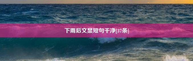 下雨后文案短句干净[37条]