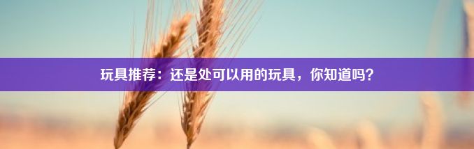 玩具推荐：还是处可以用的玩具，你知道吗？