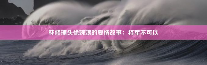 林修捕头徐婉娘的爱情故事：将军不可以