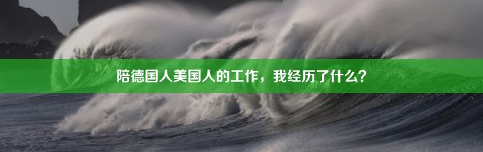 陪德国人美国人的工作，我经历了什么？