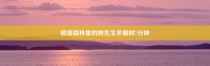 惊现森林里的熊先生冬眠时7分钟