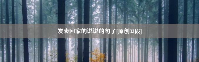 发表回家的说说的句子[原创33段]