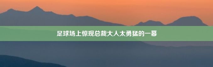 足球场上惊现总裁大人太勇猛的一幕