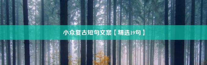 小众复古短句文案【精选19句】